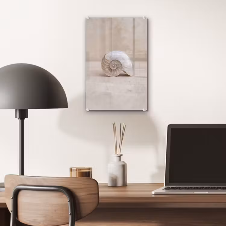 Glas schilderij - Schelp - Spiraal - Beige — 7