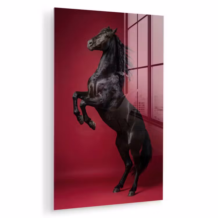 Glas schilderij - Hengst - Steigert - Rood — 1