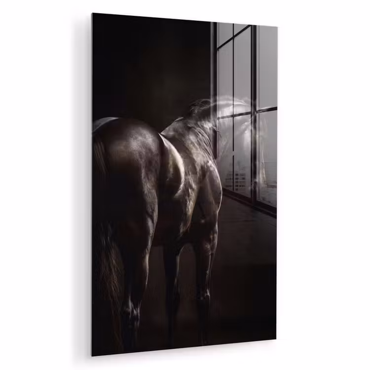 Glas schilderij - Krachtig - Paard - Donker — 1