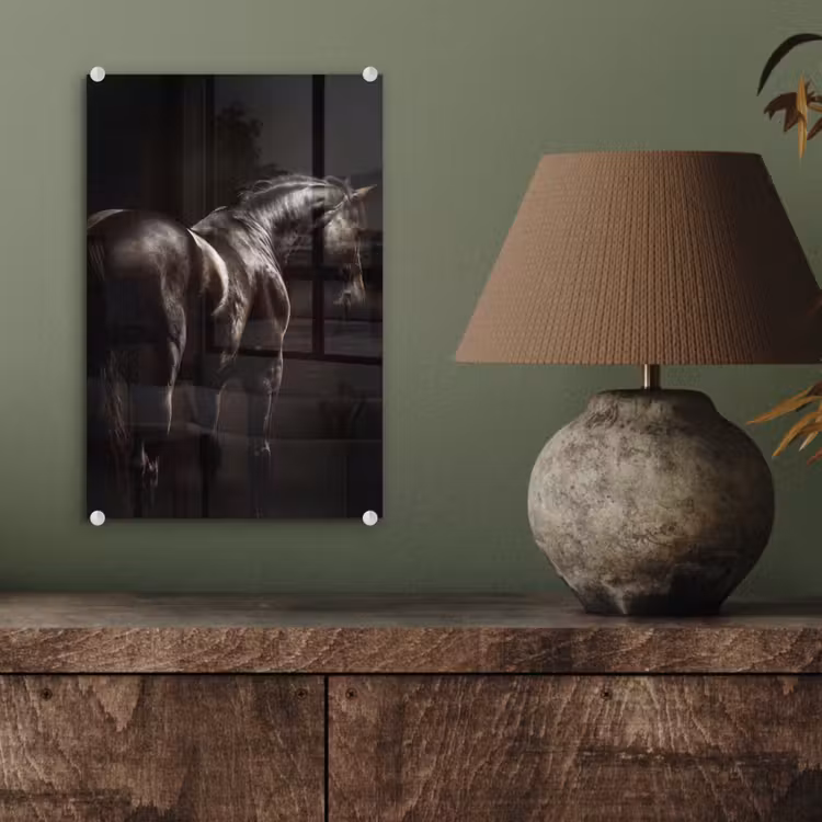 Glas schilderij - Krachtig - Paard - Donker — 4