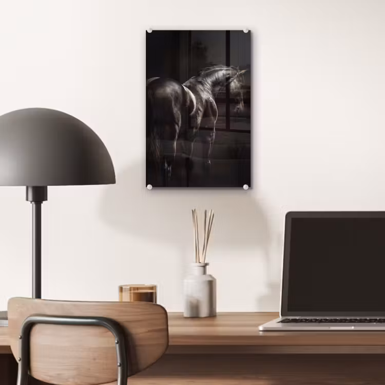 Glas schilderij - Krachtig - Paard - Donker — 7