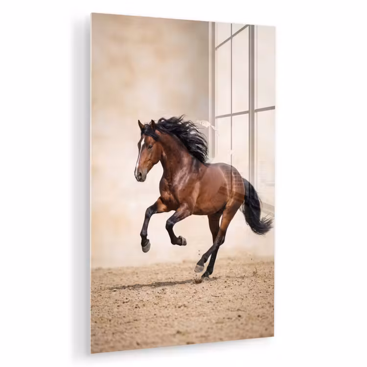 Glas schilderij - Paard - Galop - Energie — 1