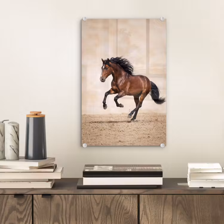 Glas schilderij - Paard - Galop - Energie — 2