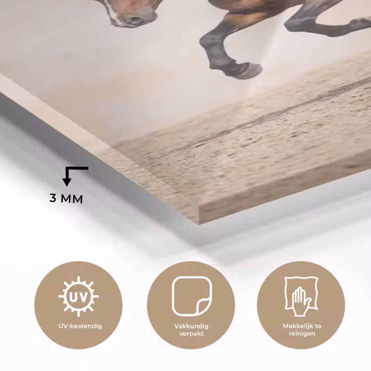Glas schilderij - Paard - Galop - Energie — 3