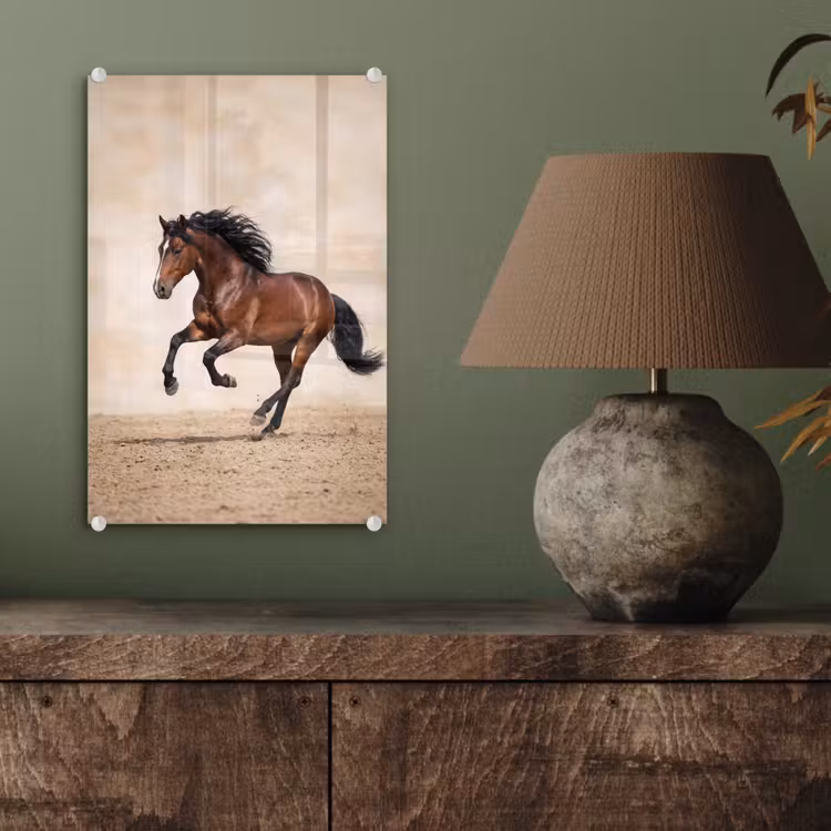 Glas schilderij - Paard - Galop - Energie — 4