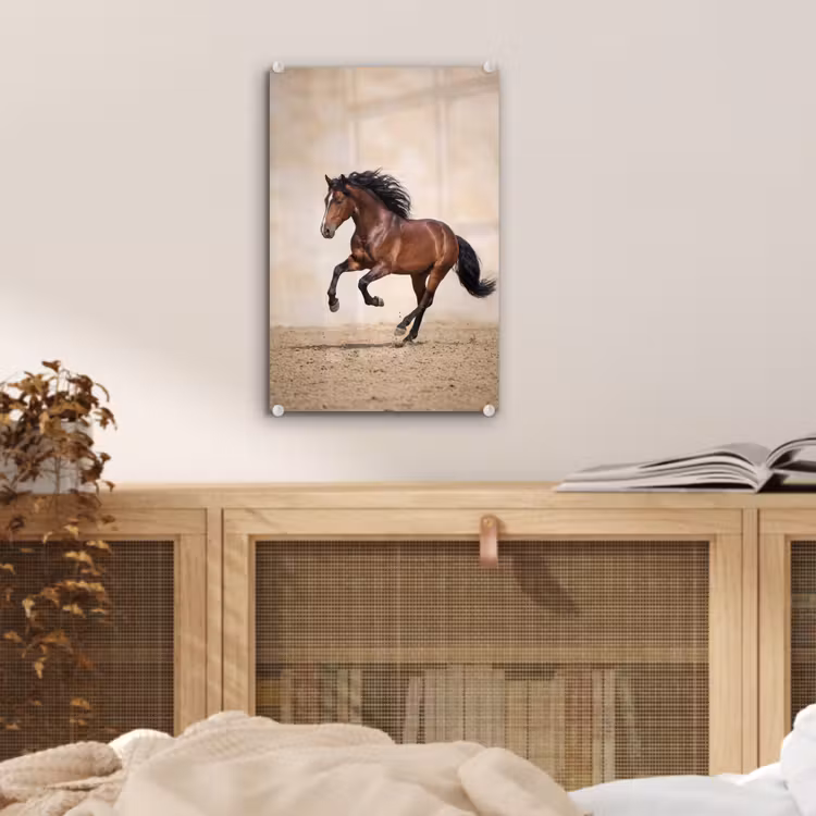 Glas schilderij - Paard - Galop - Energie — 5
