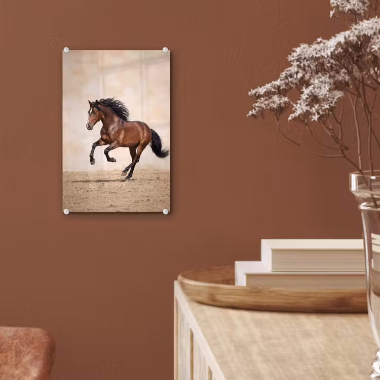 Glas schilderij - Paard - Galop - Energie — 6