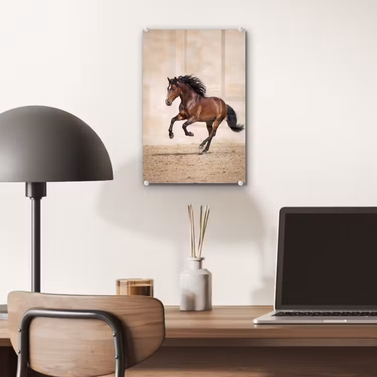 Glas schilderij - Paard - Galop - Energie — 7