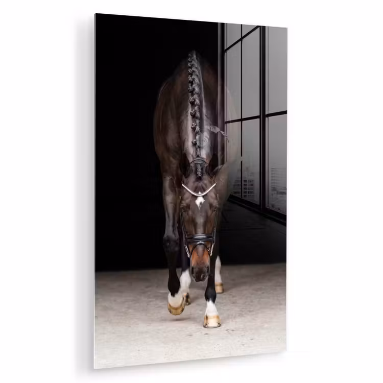 Glas schilderij - Paard - Modern - Portret — 1