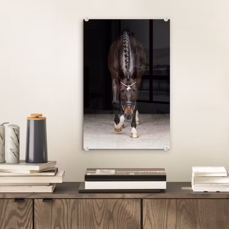 Glas schilderij - Paard - Modern - Portret — 2