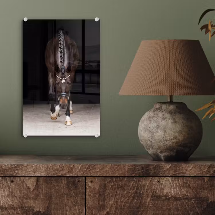Glas schilderij - Paard - Modern - Portret — 4