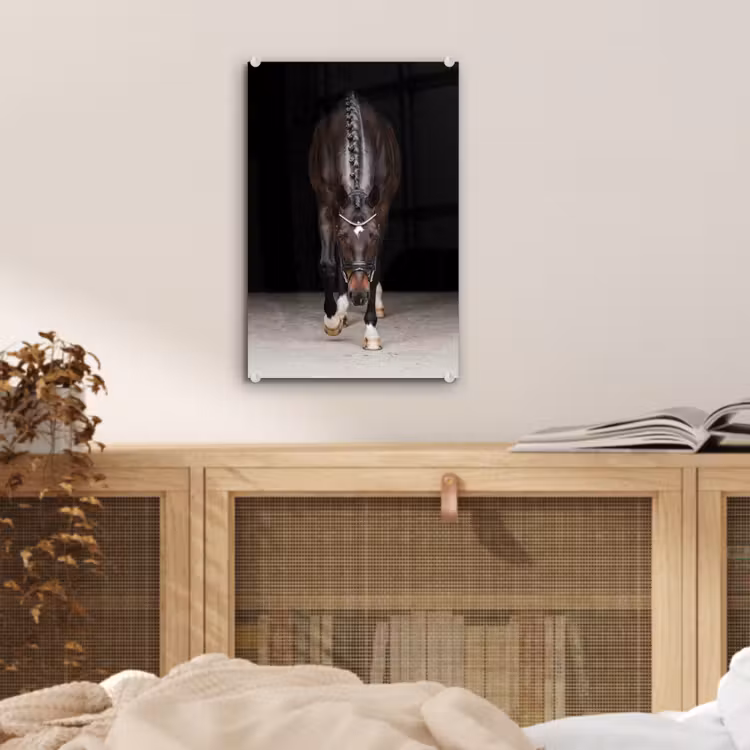 Glas schilderij - Paard - Modern - Portret — 5