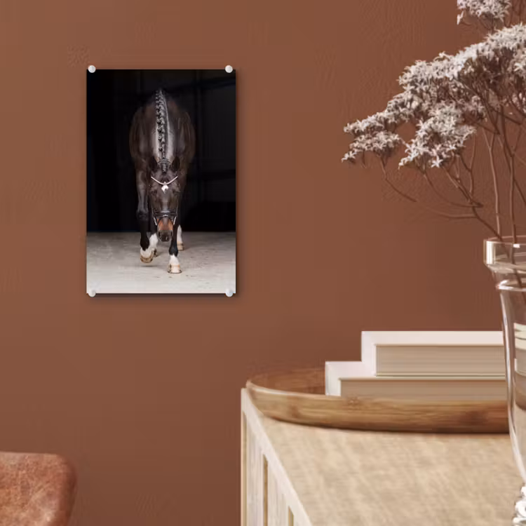Glas schilderij - Paard - Modern - Portret — 6