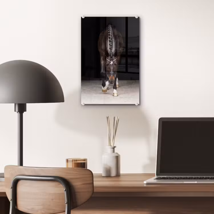 Glas schilderij - Paard - Modern - Portret — 7