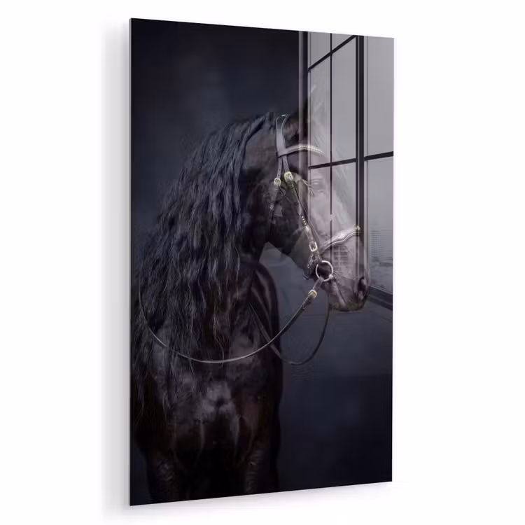 Glas schilderij - Portret - Paard - Donker — 1