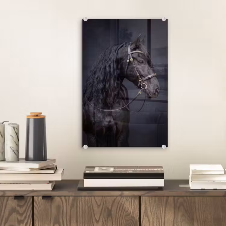 Glas schilderij - Portret - Paard - Donker — 2