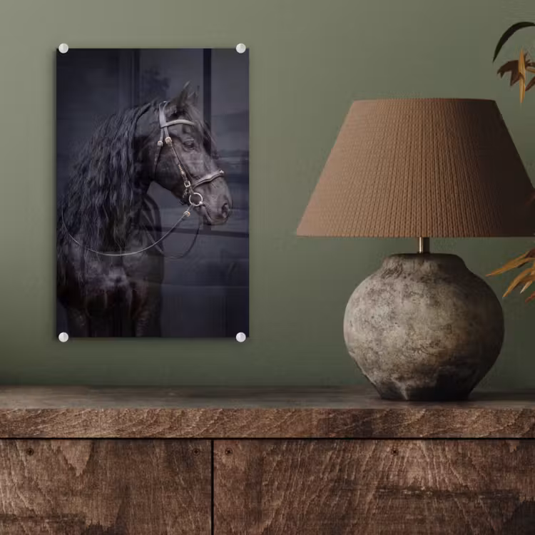 Glas schilderij - Portret - Paard - Donker — 4