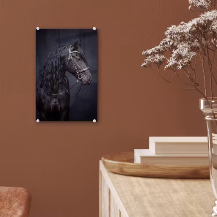 Glas schilderij - Portret - Paard - Donker — 6