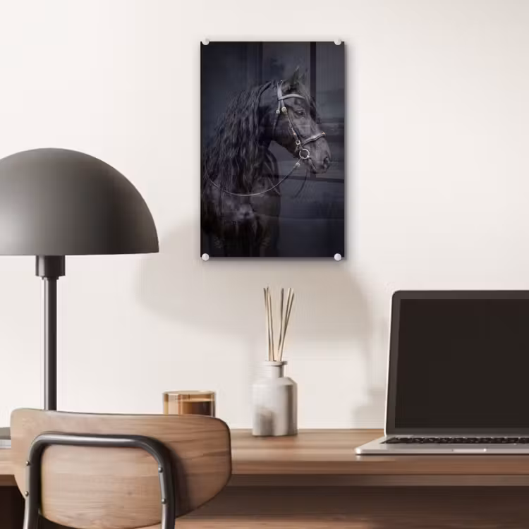 Glas schilderij - Portret - Paard - Donker — 7