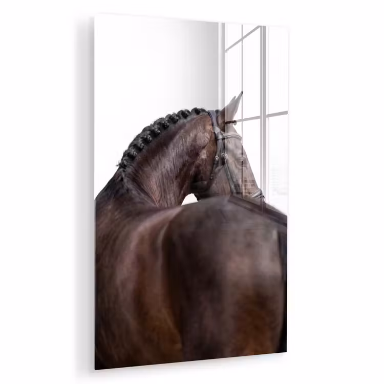 Glas schilderij - Portret - Paard - Elegant — 1