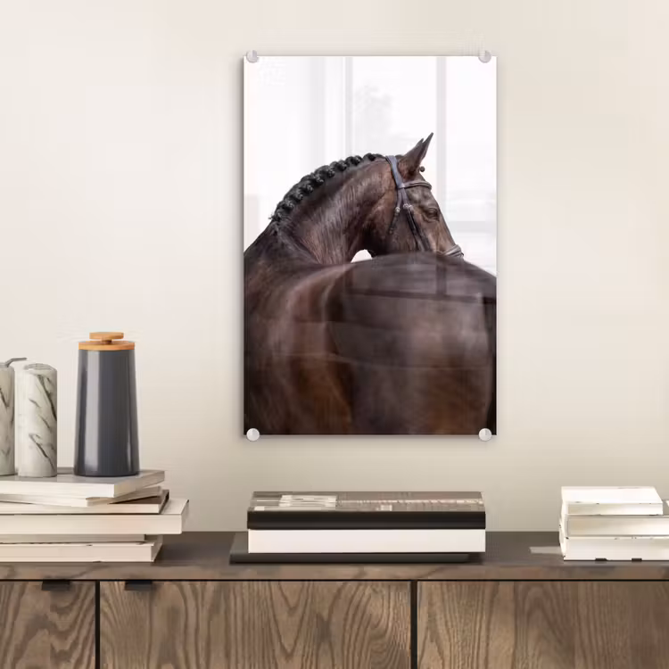 Glas schilderij - Portret - Paard - Elegant — 2