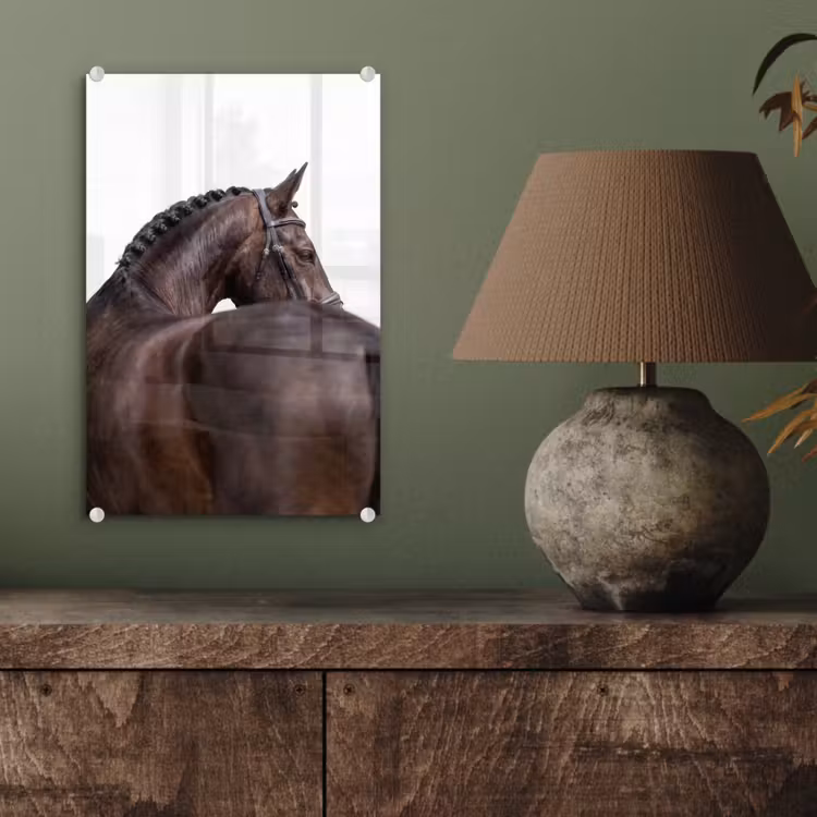 Glas schilderij - Portret - Paard - Elegant — 4