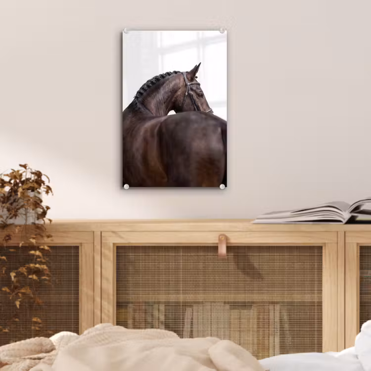 Glas schilderij - Portret - Paard - Elegant — 5
