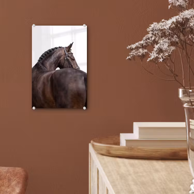 Glas schilderij - Portret - Paard - Elegant — 6