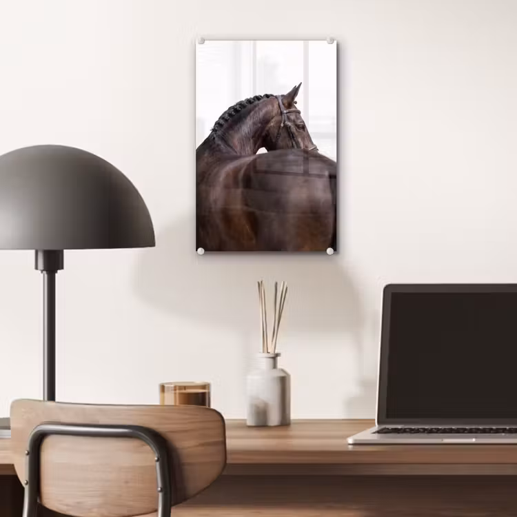 Glas schilderij - Portret - Paard - Elegant — 7