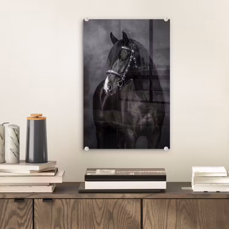 Glas schilderij - Portret - Paard - Zwart — 2