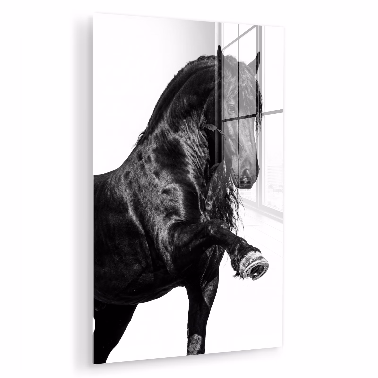 Glas schilderij - Fries - Hengst - Modern — 1