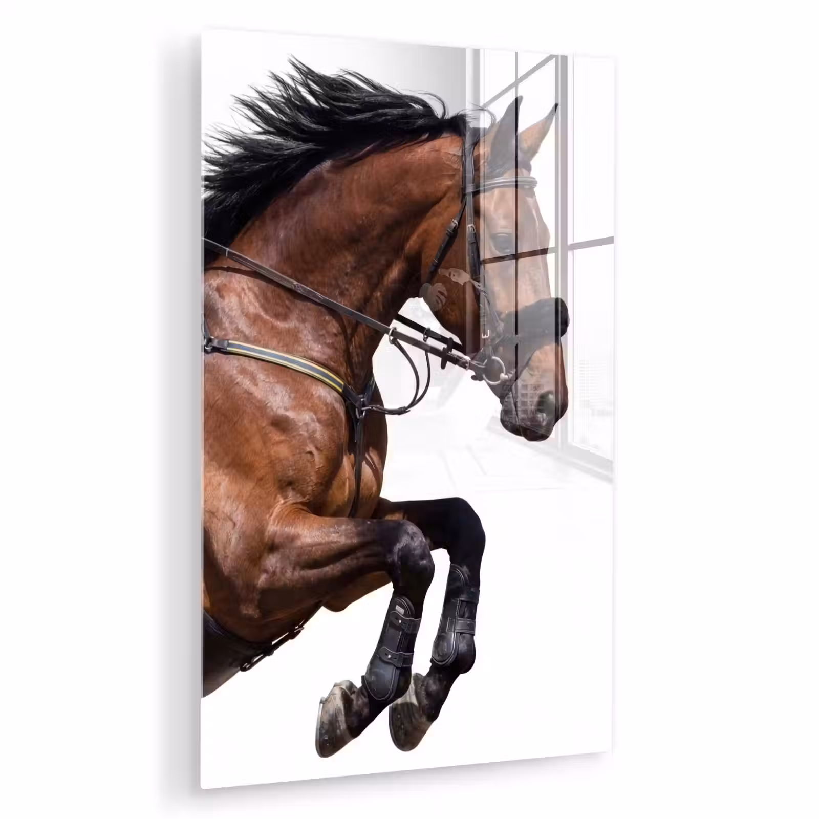 Glas schilderij - Paard - Springen - Modern — 1