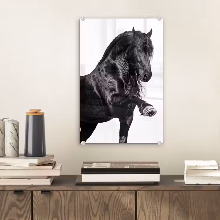 Glas schilderij - Fries - Hengst - Modern — 2
