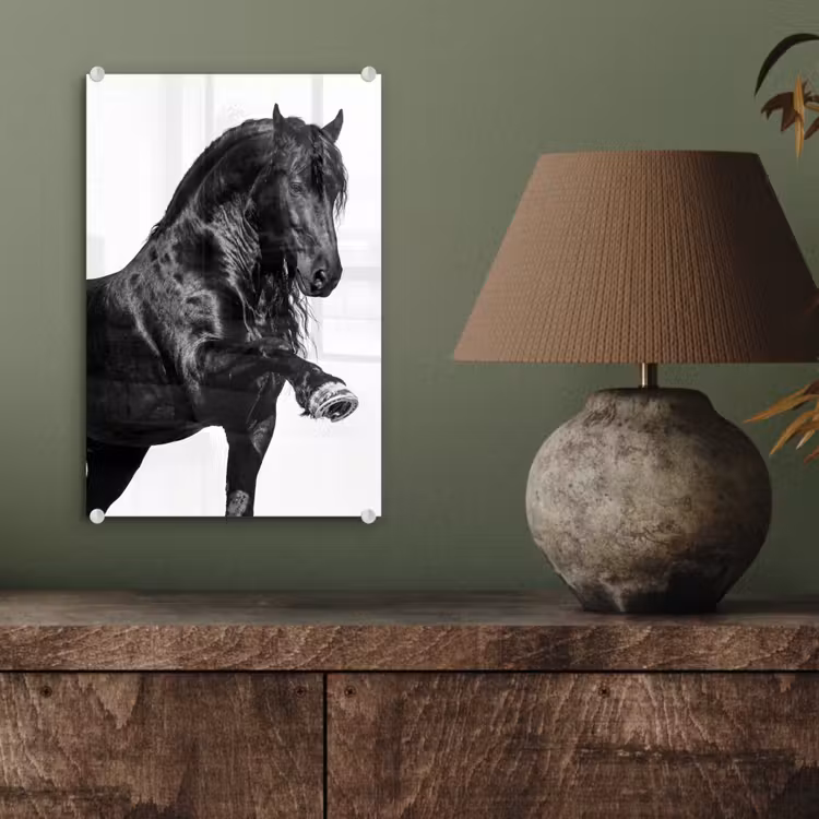 Glas schilderij - Fries - Hengst - Modern — 4