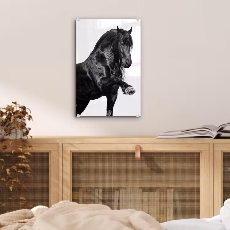 Glas schilderij - Fries - Hengst - Modern — 5