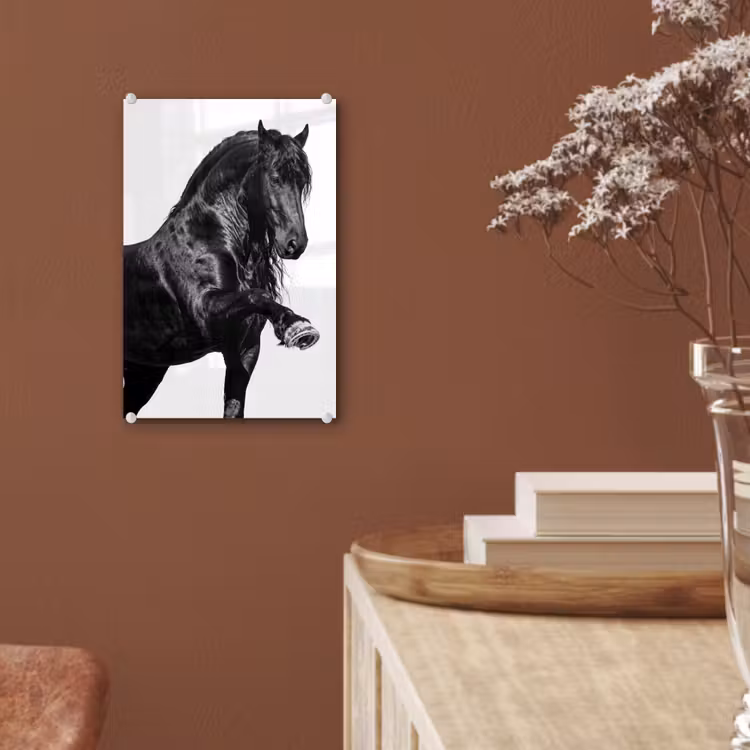 Glas schilderij - Fries - Hengst - Modern — 6