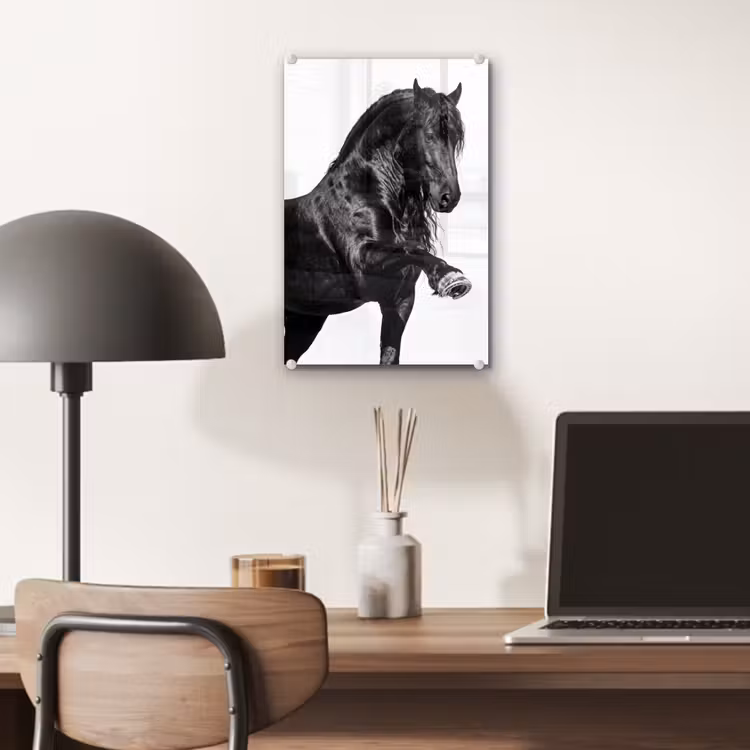 Glas schilderij - Fries - Hengst - Modern — 7