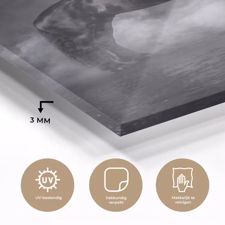 Glas schilderij - Paard - Magisch - Zwart — 3