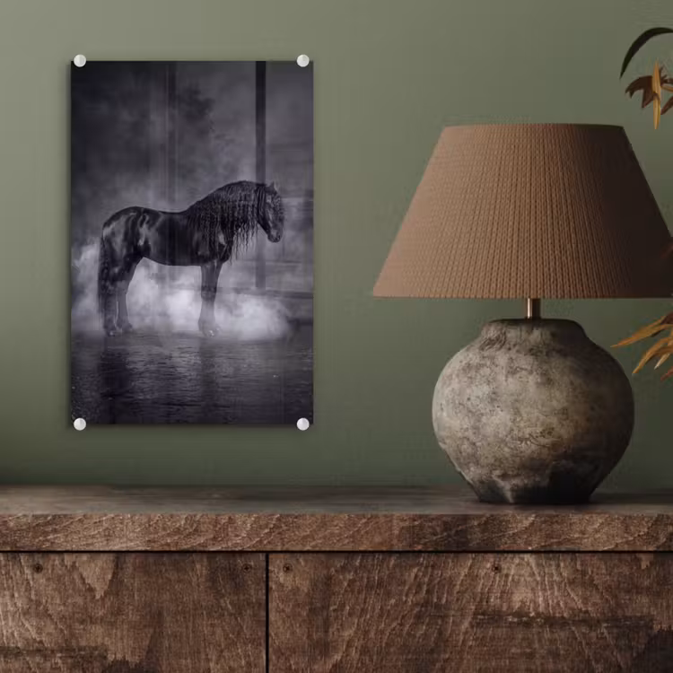 Glas schilderij - Paard - Magisch - Zwart — 4