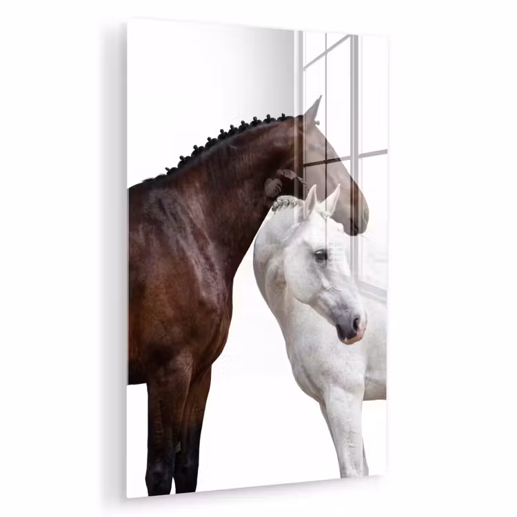 Glas schilderij - Paard - Modern - Balans — 1