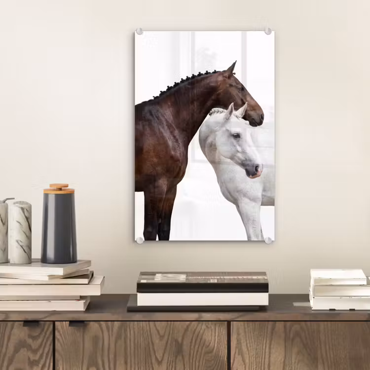 Glas schilderij - Paard - Modern - Balans — 2