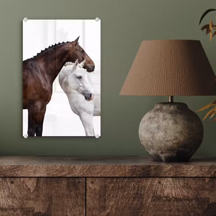 Glas schilderij - Paard - Modern - Balans — 4