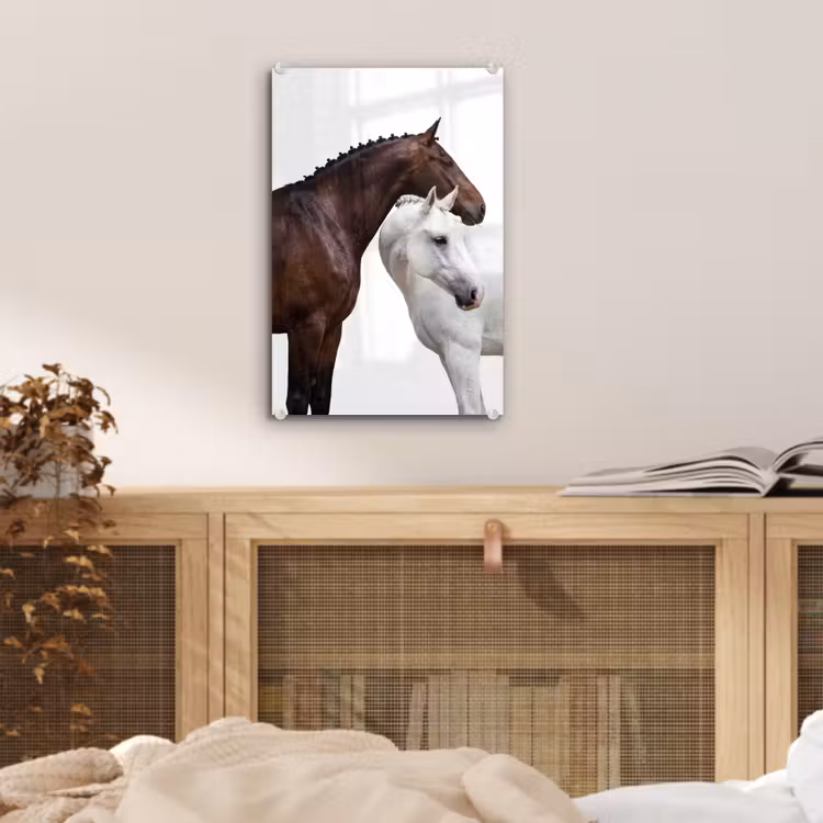 Glas schilderij - Paard - Modern - Balans — 5