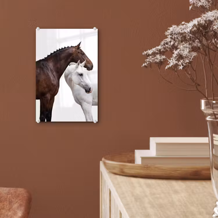 Glas schilderij - Paard - Modern - Balans — 6