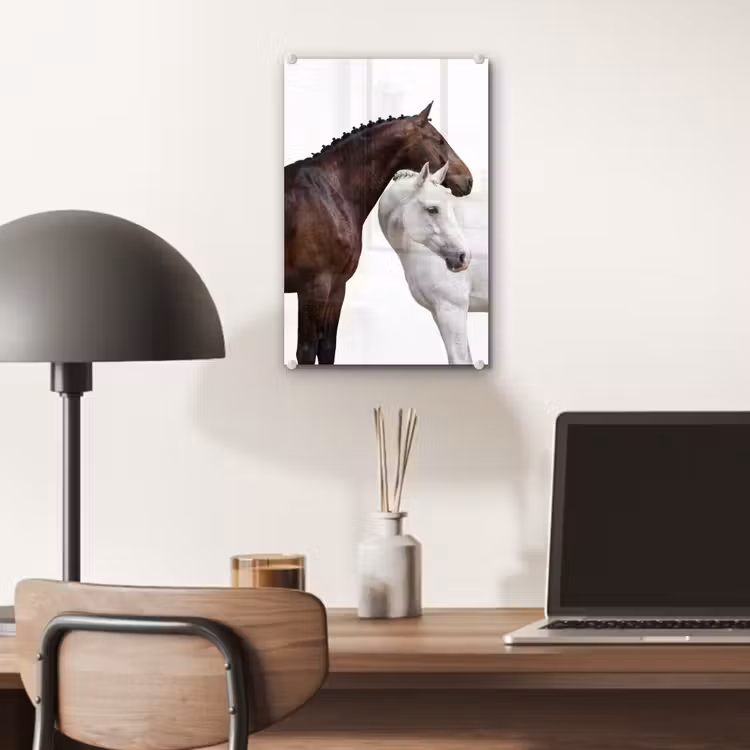 Glas schilderij - Paard - Modern - Balans — 7