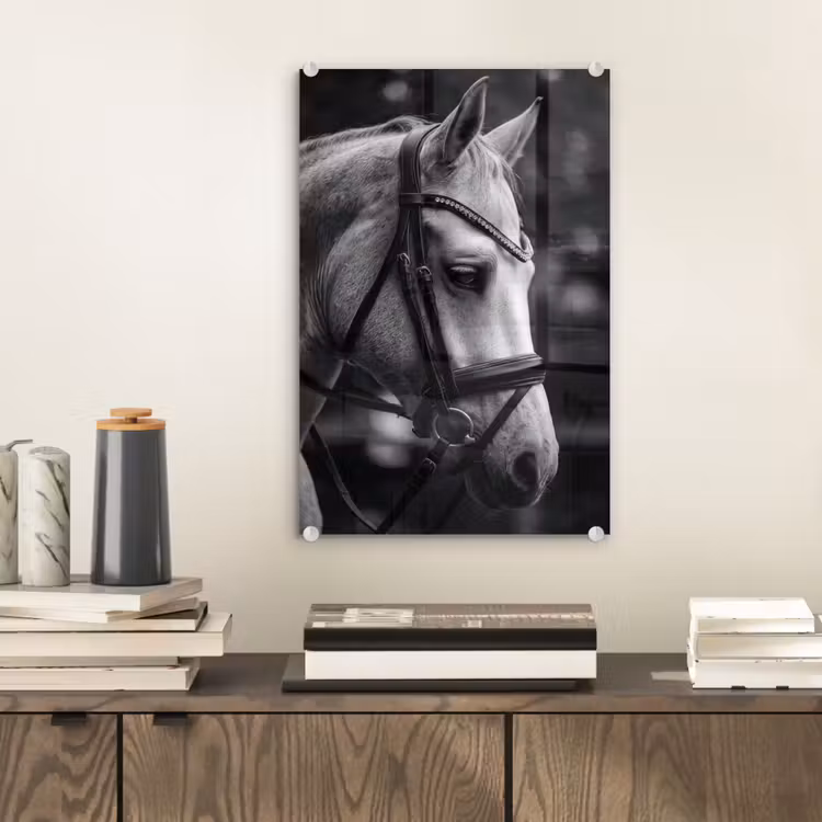 Glas schilderij - Paard - Schimmel - Portret — 2