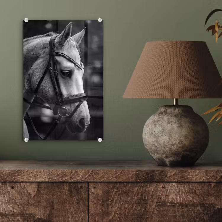 Glas schilderij - Paard - Schimmel - Portret — 4