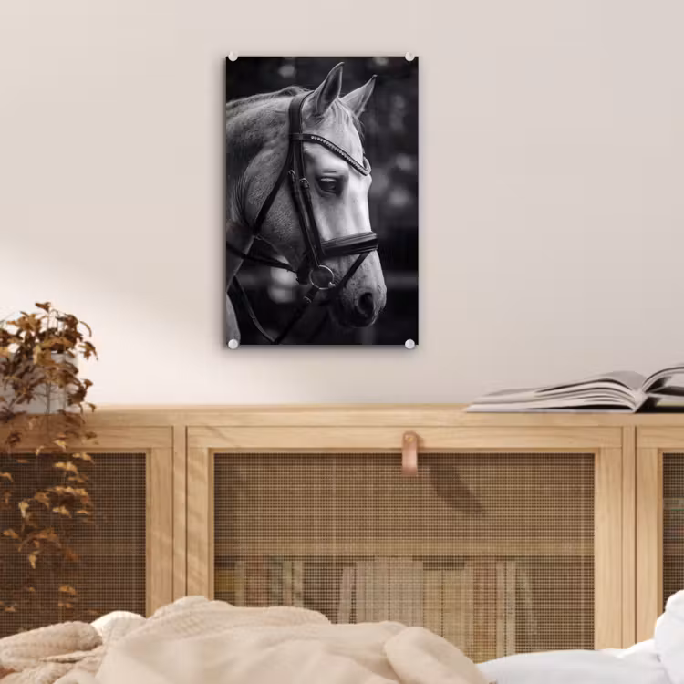 Glas schilderij - Paard - Schimmel - Portret — 5