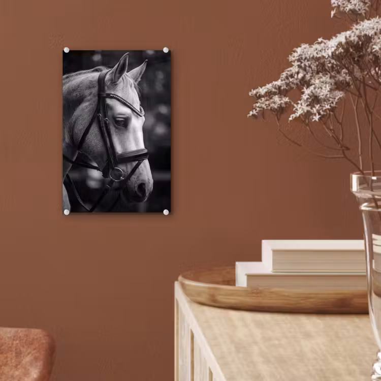 Glas schilderij - Paard - Schimmel - Portret — 6