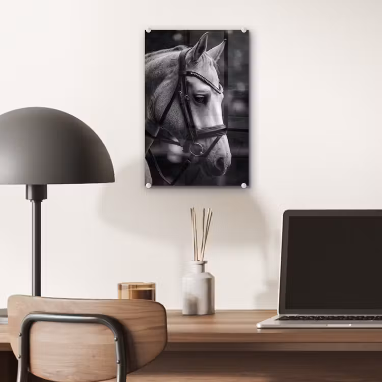Glas schilderij - Paard - Schimmel - Portret — 7